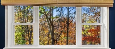 A window with a white frame and a bamboo blind, offering a view of autumn trees.