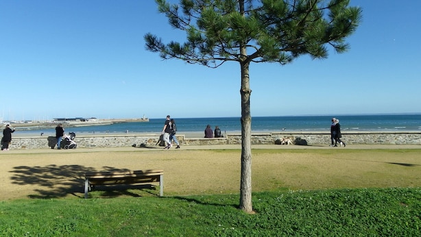Un parc avec un seul pin, des bancs et une zone sablonneuse près d’une étendue d’eau.