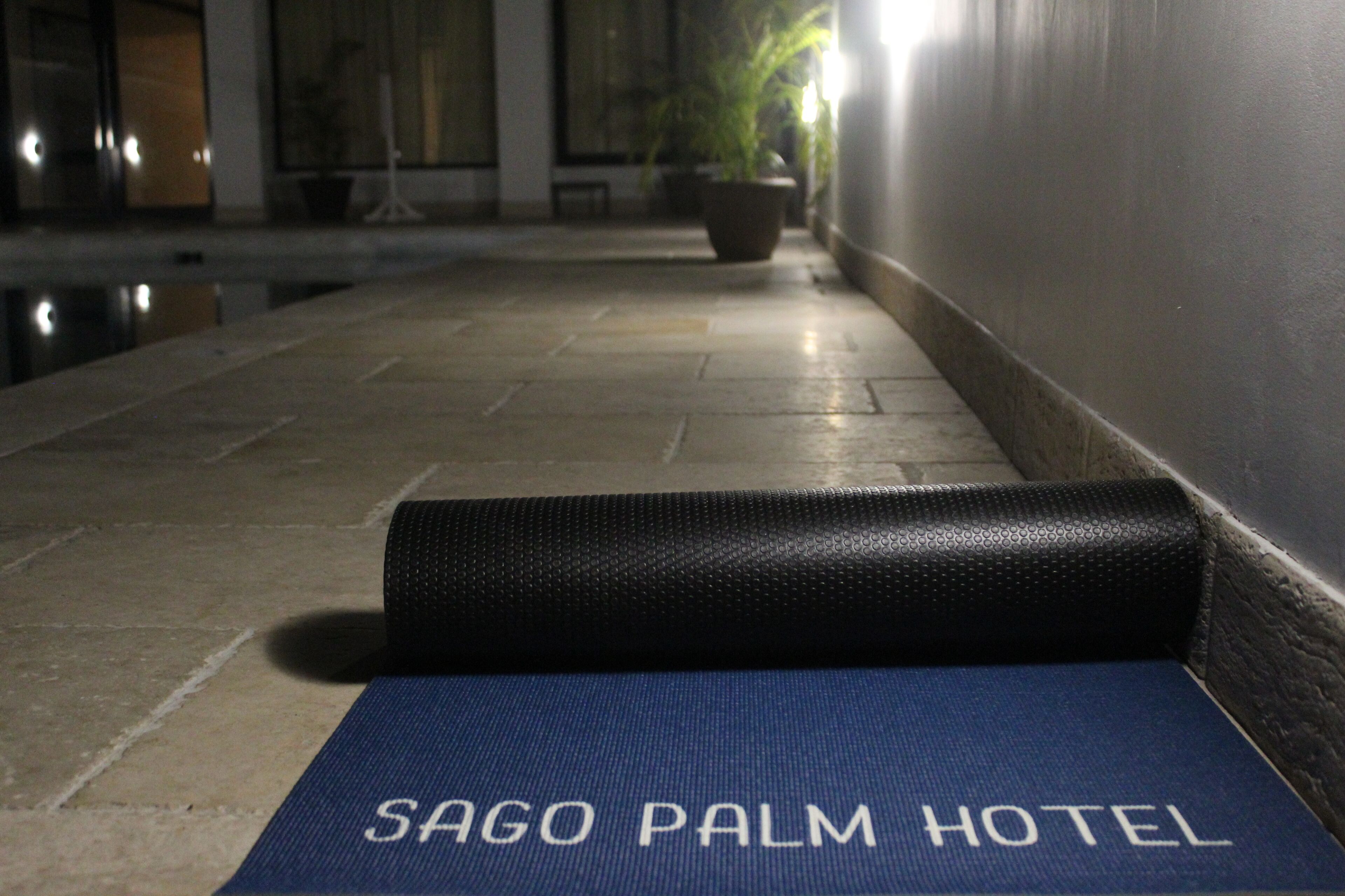 Esterilla azul con el texto "SAGO PALM HOTEL", un objeto negro con textura y una planta en maceta en un pasillo.