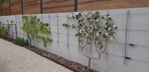 Property grounds - VILLA 6 persons, 5*, with swimming pool, spa and river (L'Isle-sur-la-Sorgue)