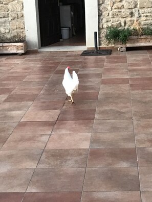 Exterior detail - HOUSE WITH POOL AND ORCHARD IN ARTAJONA (Artajona)