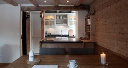 Cozy mountain chalet Davos