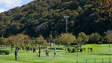 Mini-golf