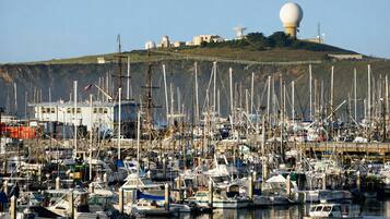 A marina with numerous boats docked, a hill with buildings and a large spherical structure in the background.