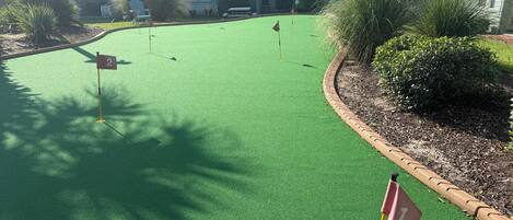 Un campo da minigolf con erba sintetica, buche numerate e aiuole circostanti.