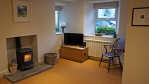 A cozy room with a fireplace, a television on a wooden stand, a window with a view of flowers, and a chair.