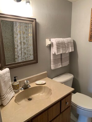 Combined shower/bathtub, hair dryer, towels, soap