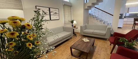 TV connectée, cheminée