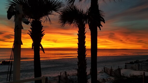 A sunset view with palm trees and a beach. - Blessed A-Shore-ance one short block to the beach with private back deck.  (Panama City Beach)