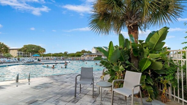 A swimming pool area with lounge chairs and a palm tree.