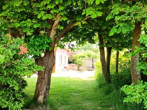 Property grounds - Spacious, cozy and barrier-free vacation home with dog in a secluded location  (Westerholt)