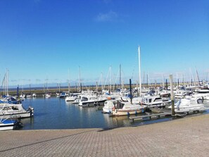 Marina - Spacious, cozy and barrier-free vacation home with dog in a secluded location  (Westerholt)