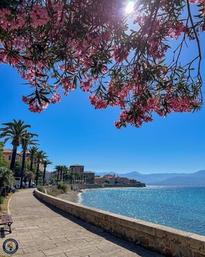 Beach - Charming apartment overlooking the Gulf of Ajaccio! Large terrace, sea view (PORTICCIO)