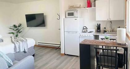 Beautiful condo overlooking downtown