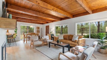 Smart TV, fireplace, books