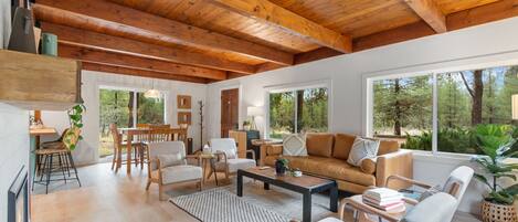 Smart TV, fireplace, books