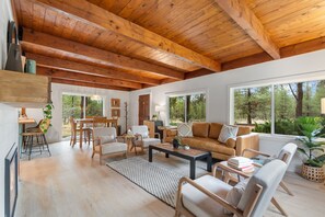 Smart TV, fireplace, books