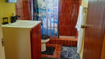 Shower, hair dryer, towels, soap