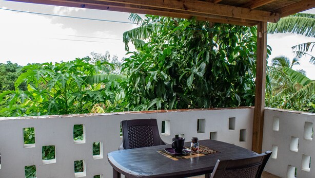 A covered outdoor patio with a table and chairs, surrounded by a white wall with square cutouts, and lush greenery in the background.