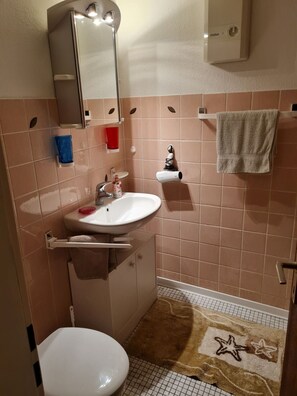 Shower, hair dryer, toilet paper - Cozy, well-equipped 1-room vacation apartment in the middle of nature (Ludwigswinkel)