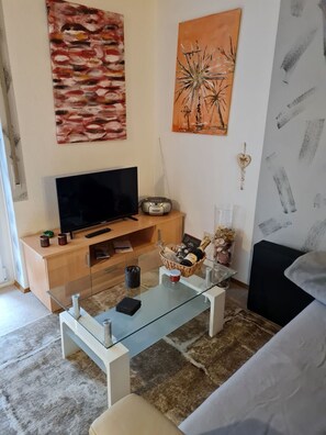 TV, stereo - Cozy, well-equipped 1-room vacation apartment in the middle of nature (Ludwigswinkel)