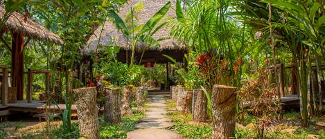 A tropical garden pathway leading to a thatched-roof structure.