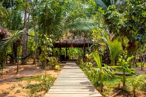 Terrace/patio - Tronco Tambopata Adventure (Tambopata)