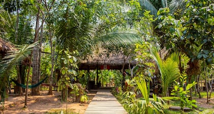 Tronco Tambopata Adventure