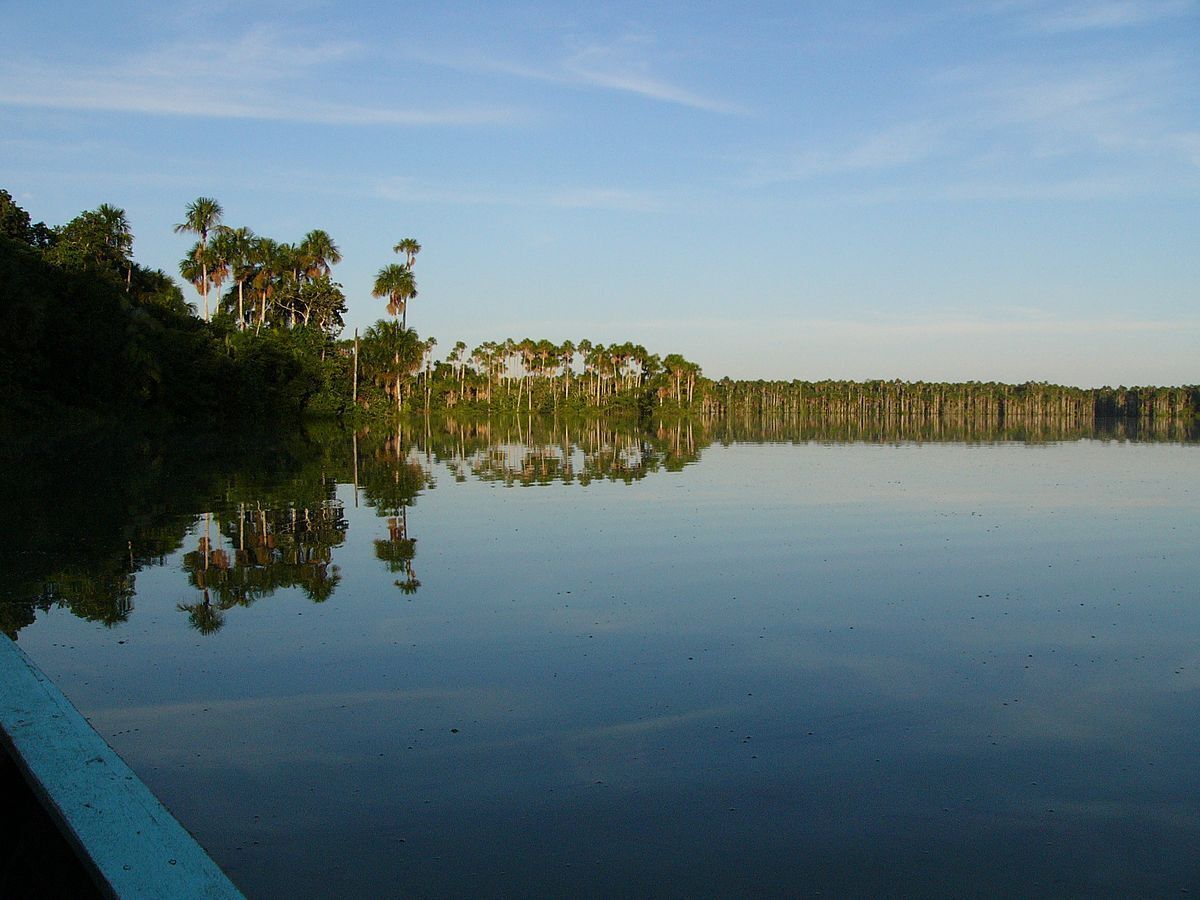 Un lago tranquilo con reflejos de árboles y un cielo despejado.