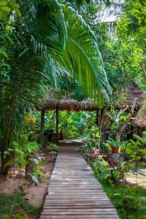 A wooden pathway through a lush garden with a thatched-roof structure. - Tronco Tambopata Adventure (Tambopata)