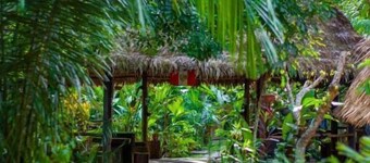 特隆科塔博帕塔冒险