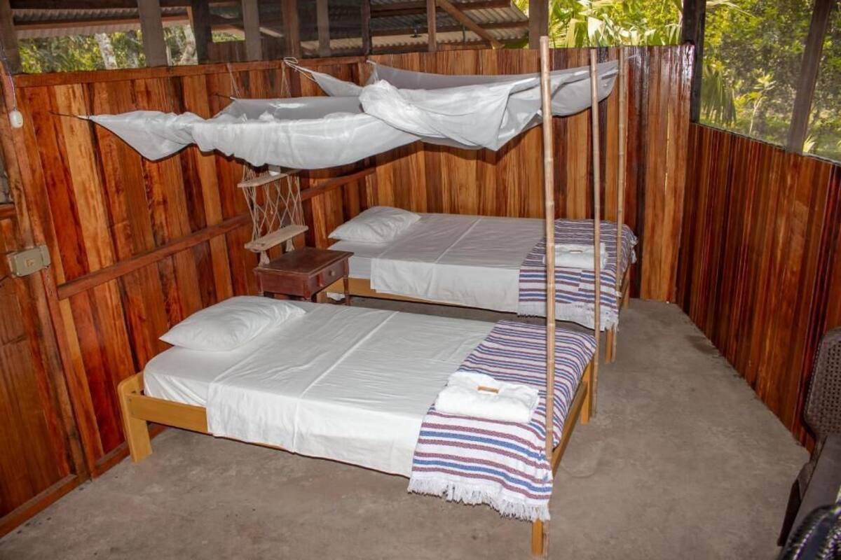 A wooden room with two single beds, a small wooden nightstand, and a mosquito net above the beds.