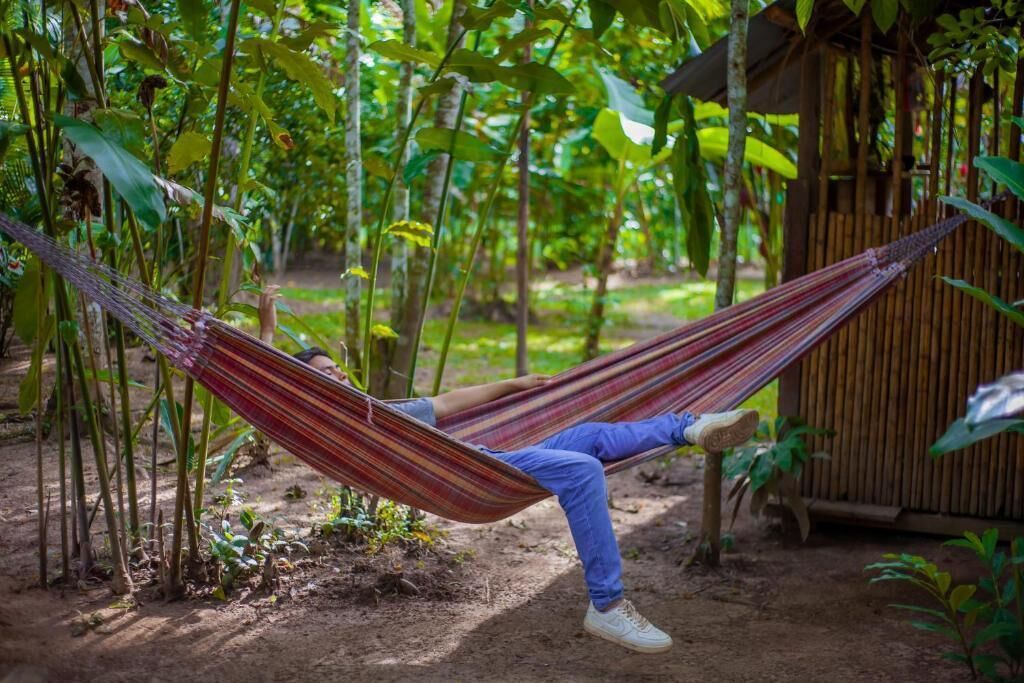 A hammock in a lush garden with dense foliage and a wooden structure in the background.