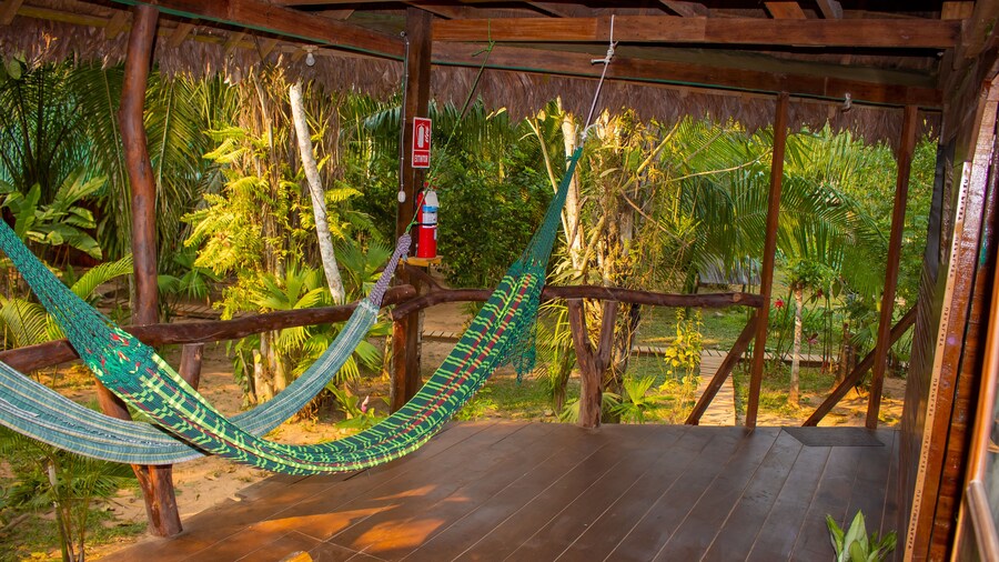 Tronco Tambopata Adventure