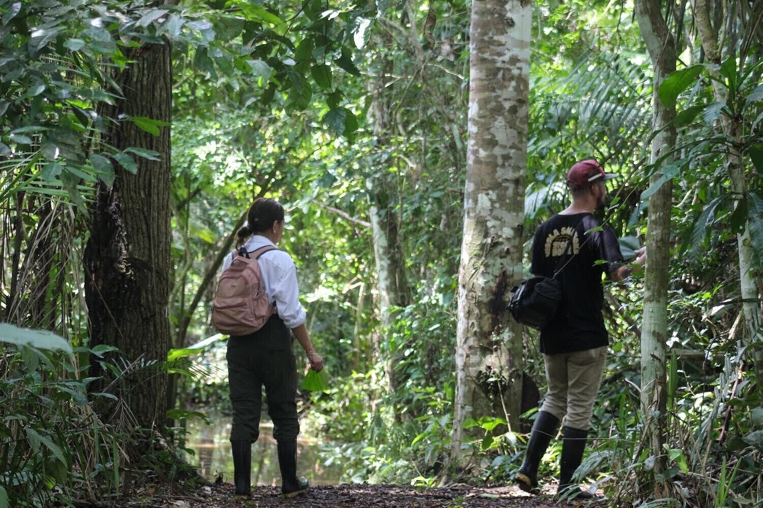 Dos personas caminando por un sendero en el bosque.