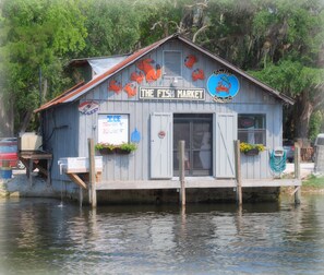 Exterior - "The Lodge": Crystal River Furnished Apartment on 4.5 acres!  (Crystal River)