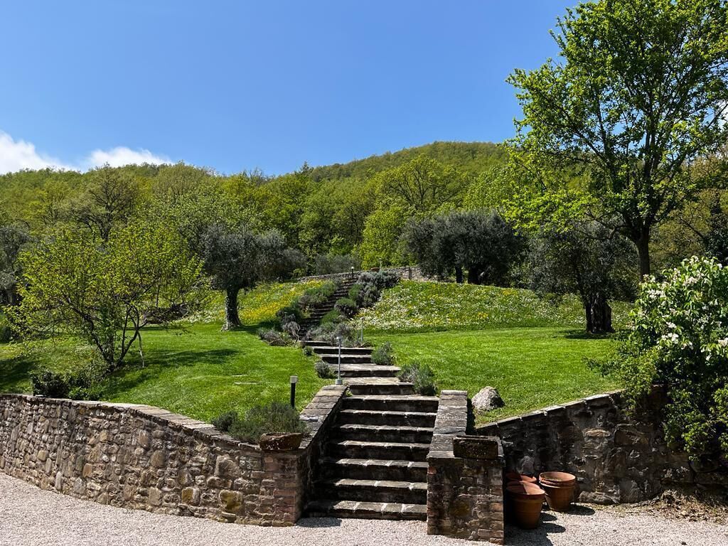 Una escalera de piedra que asciende por una colina, rodeada de exuberante vegetación y árboles.