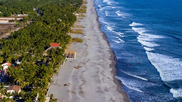 An aerial view of a beach with a long stretch of sand, palm trees, and ocean waves. - Luxurious Villa with expansive room for family, couples/groups. 5 min beach walk (San Luis La Herradura)