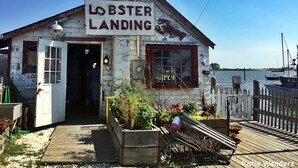 Maalaismainen rakennus, jossa on kyltti, jossa lukee ”LOBSTER LANDING”, ja sen yhteydessä on hummerin kuva.