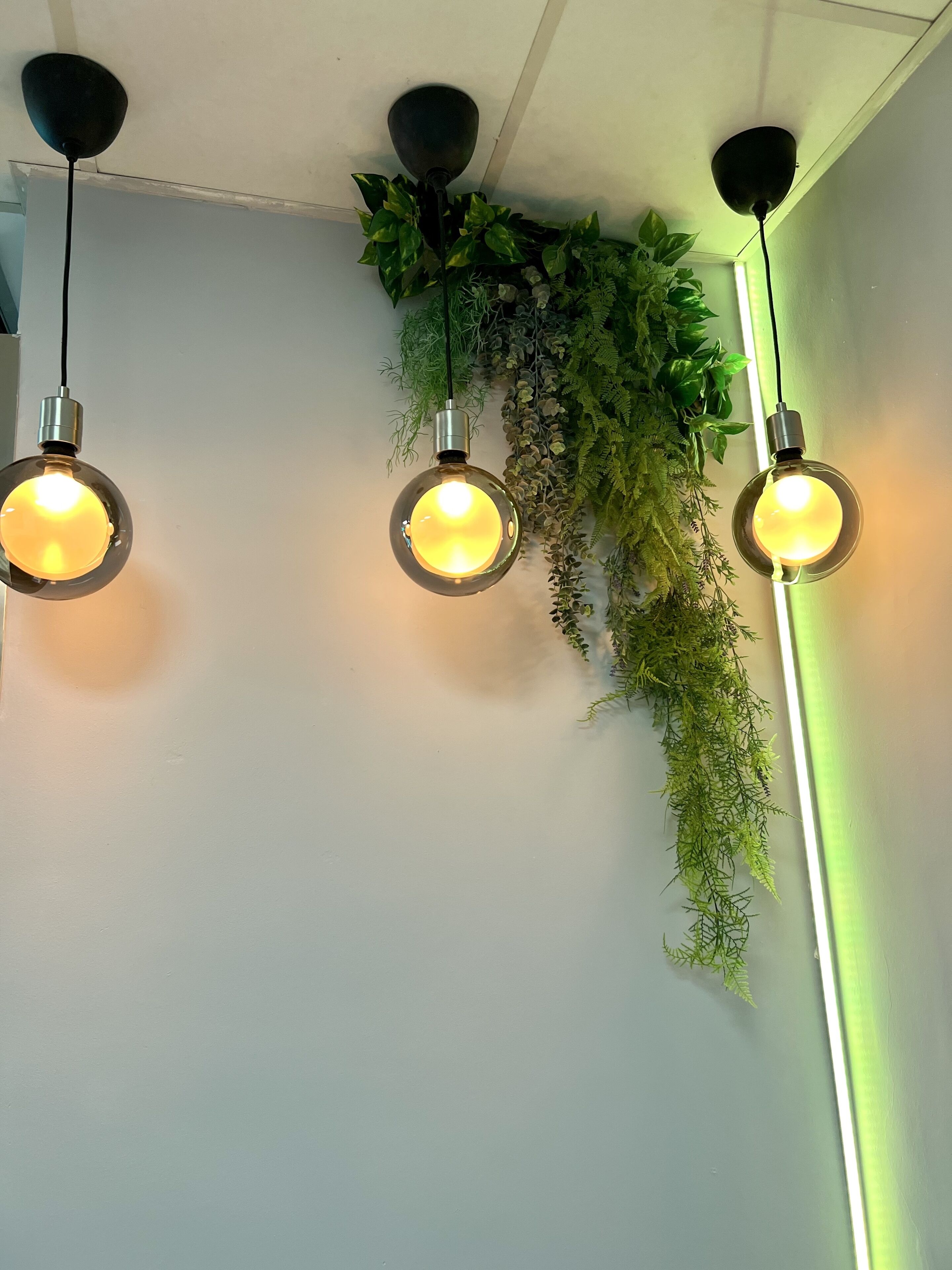 Three spherical pendant lights with exposed bulbs hanging from the ceiling, surrounded by green foliage.