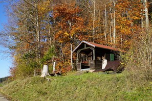 Ulkopuoli