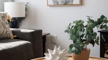 Una Smart TV, una chimenea, libros