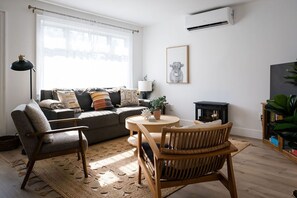 Smart TV, fireplace, books