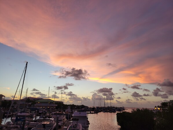 Stunning marina views surround this waterfront property.