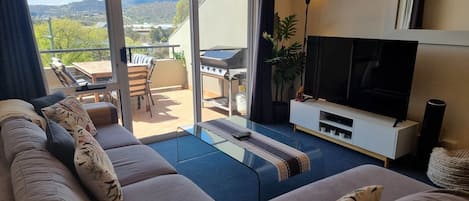 TV, DVD player
