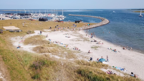 Ein Strand mit einer Marina, sandigem Ufer und Rasenflächen.
