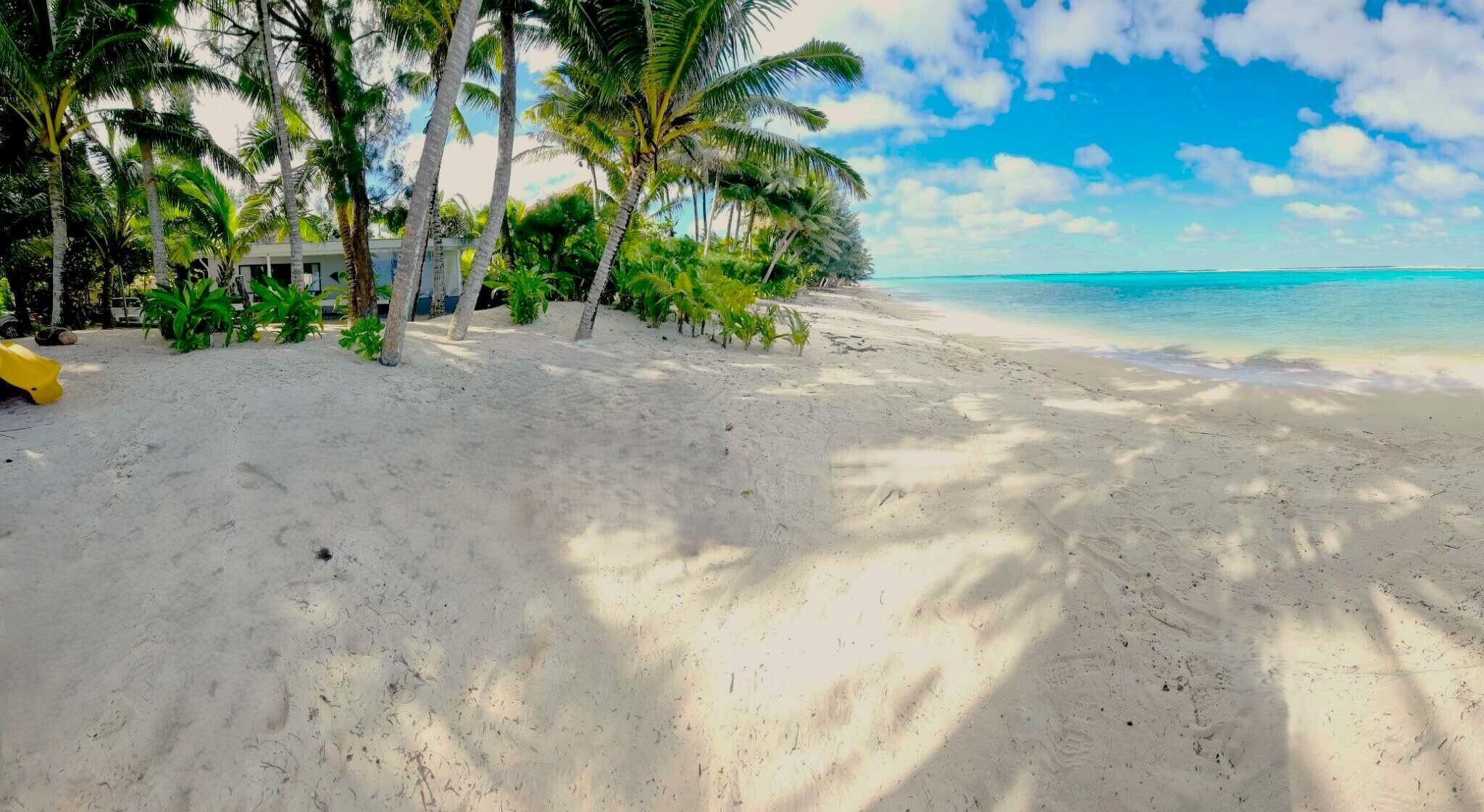 Una playa con arena blanca, palmeras y un cielo azul despejado.