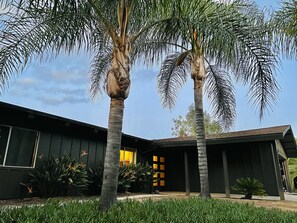 Property grounds - Newly remodeled midcentury modern house close to many attractions (Fallbrook)