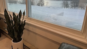 Ein Zimmer mit großem Fenster mit Blick auf eine verschneite Landschaft, einer Zimmerpflanze und einem Ledersofa.