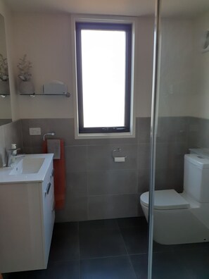 A modern bathroom with a large window, a white sink, a toilet, and a glass shower enclosure. - The Capannone, a one BR country cottage. Perfect getaway. (Basalt)